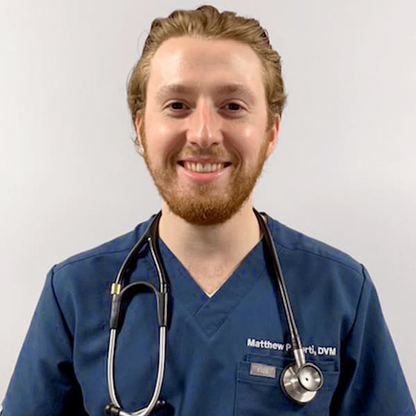 Dr. Matt Potorti, Simi Valley Veterinarian